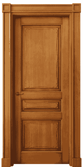 Дверь межкомнатная 6325 БСП. Цвет Бук светлый с патиной. Материал Массив бука с патиной. Коллекция Toscana Elegante. Картинка.